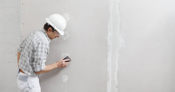 Best Black Mold Removal  in Freeport, FL