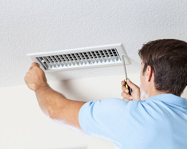 Best Mold Damage Restoration  in Freeport, FL