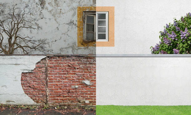 Best Commercial Mold Inspection  in Freeport, FL
